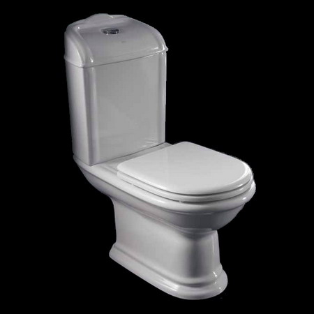 Унитаз Althea Ceramica Сlassic Rose 24001 моноблок с бачком